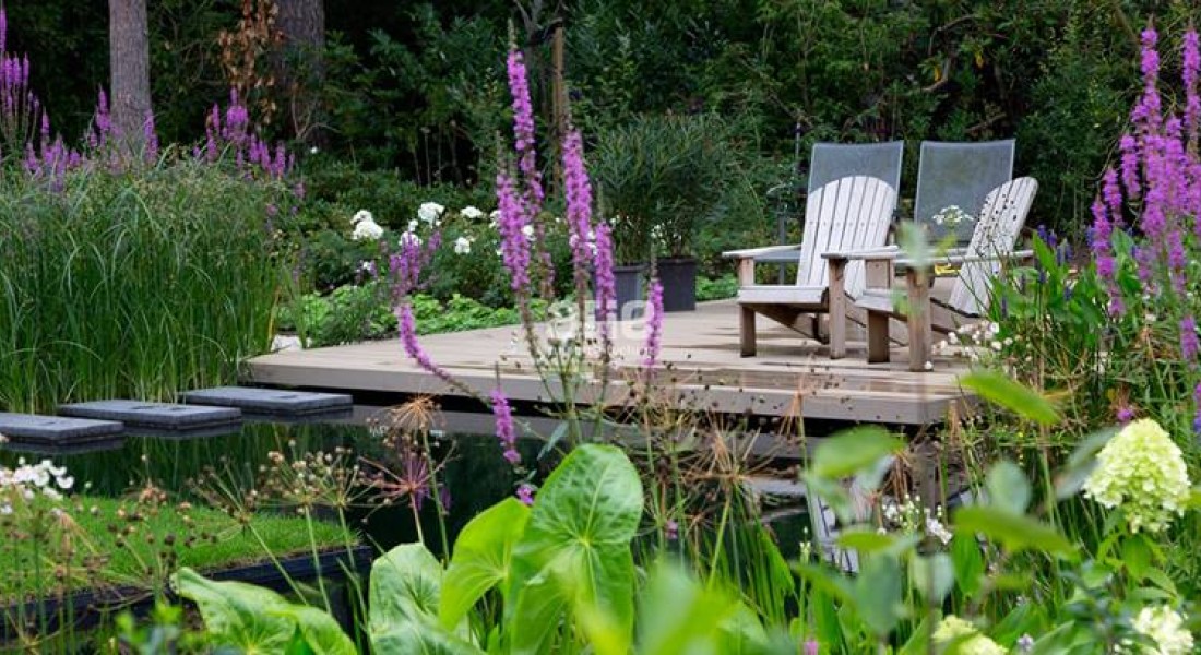 Water in de tuin: van vijver tot miniwaterval