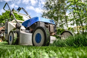 Grasmaaiers - 