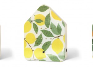 Een zonnig relaxmoment in huis - 