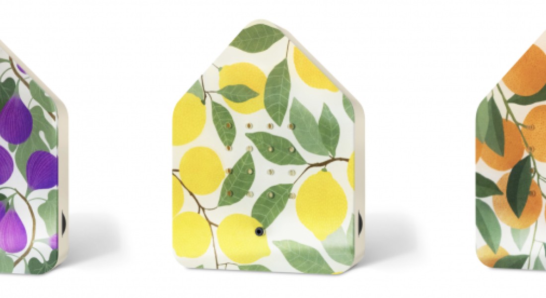 Een zonnig relaxmoment in huis