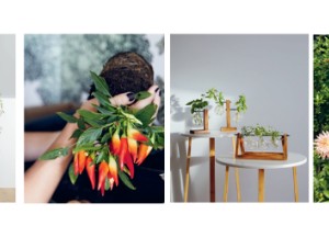 19 X kruiden, fruit & groenten verbouwen in huis en tuin! - 