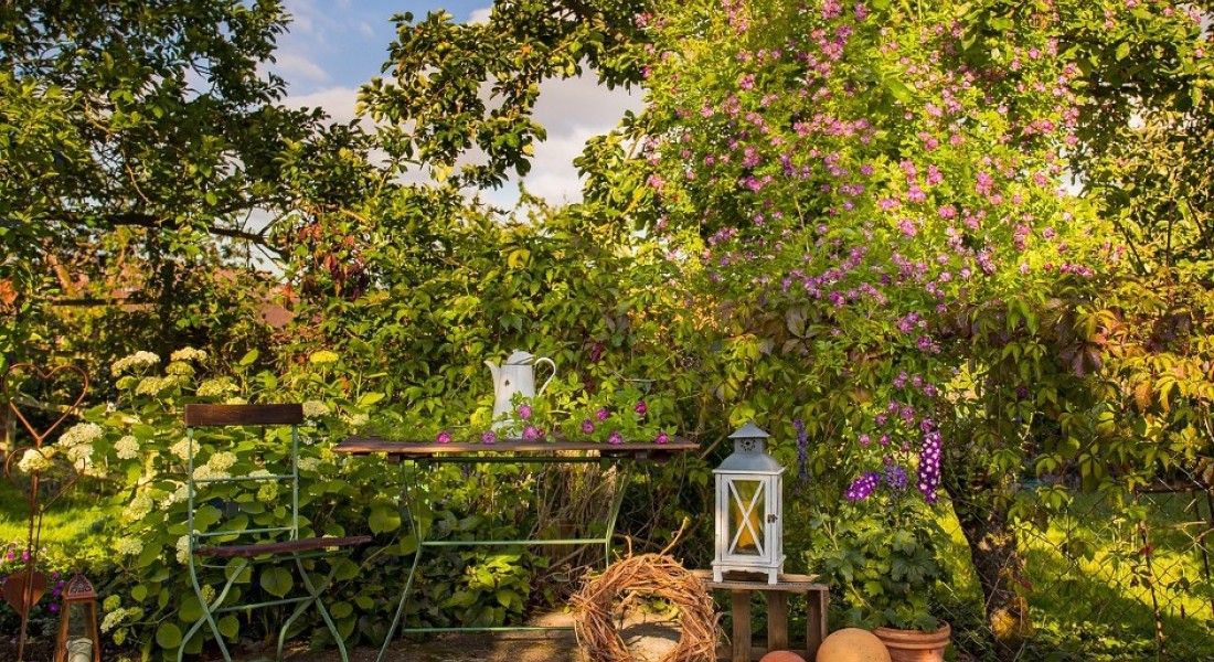 Hoe maak je van een tuinidee werkelijkheid
