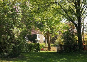 Hoe maak je van een kale tuin een groene en sfeervolle plek?