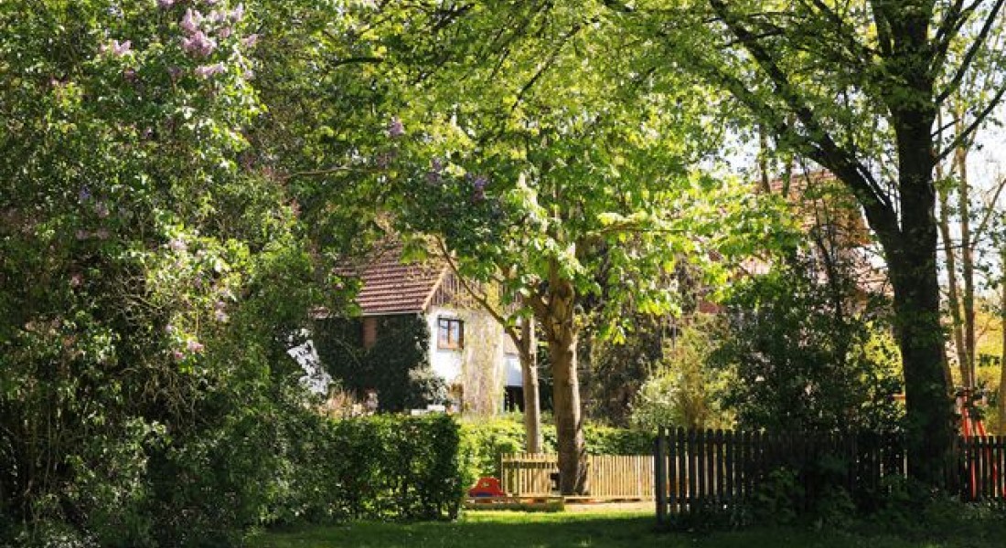 Hoe maak je van een kale tuin een groene en sfeervolle plek?