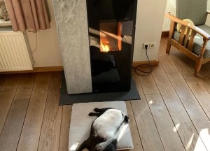 Energiekosten onder druk: biedt een kachel uitkomst? - 