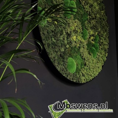 FotoGroen in huis met een uniek mosschilderij