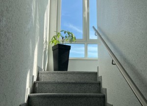 Wat kost een traprenovatie in Tilburg? - 