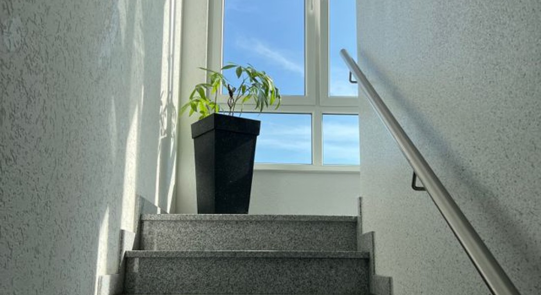 Wat kost een traprenovatie in Tilburg?