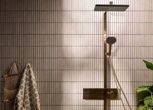 Raindance Alive: de luxe regendouche van hansgrohe | mijn bad in stijl - mijn bad in stijl