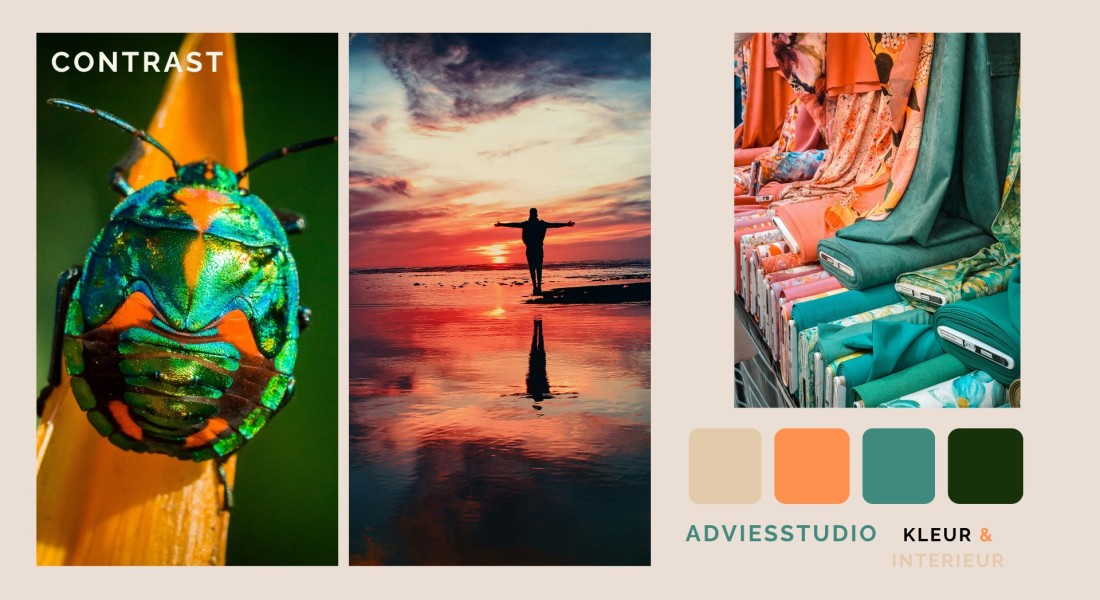 Moodboard: Kleurcontrast