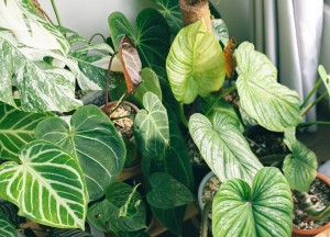 7 manieren om jouw tuin vrolijk in te richten met kunstplanten