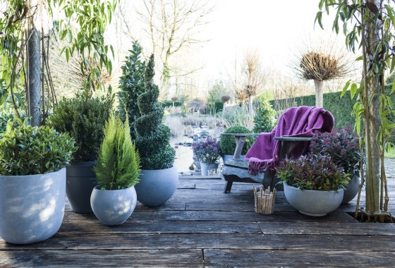 Waarom november en december ideaal zijn om je tuin aan te pakken