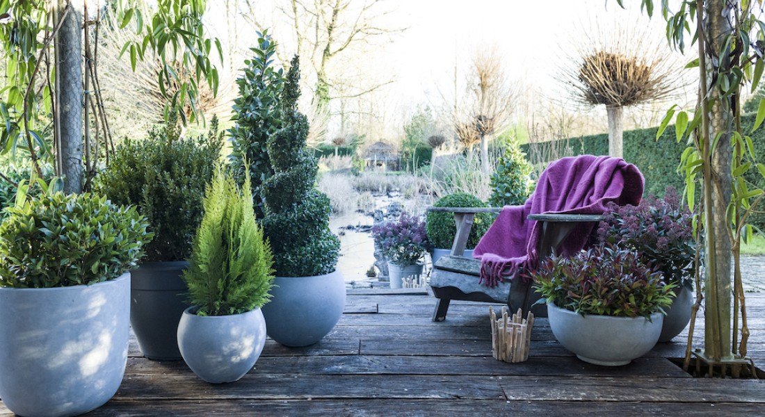 Waarom november en december ideaal zijn om je tuin aan te pakken