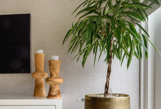 Foto 5 - Woonstyling Aelsmeer uit Aalsmeer