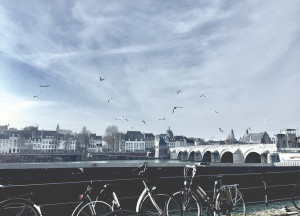 Graham & Brown viert 75-jarig bestaan - 