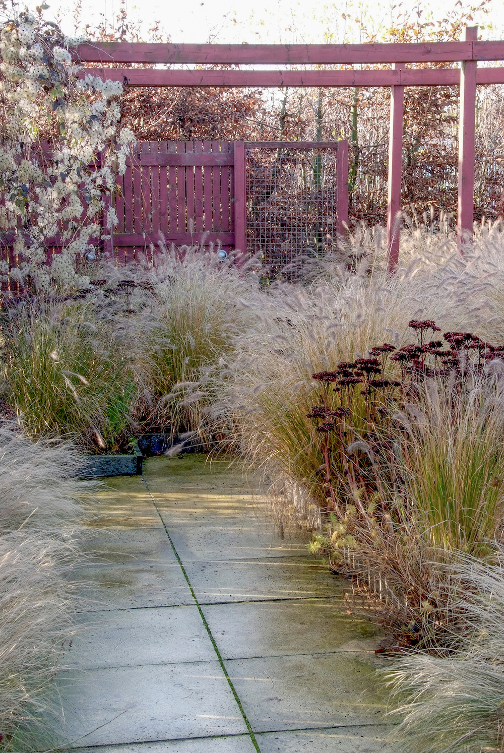 Foto Waarom november en december ideaal zijn om je tuin aan te pakken FotoWaarom november en december ideaal zijn om je tuin aan te pakken