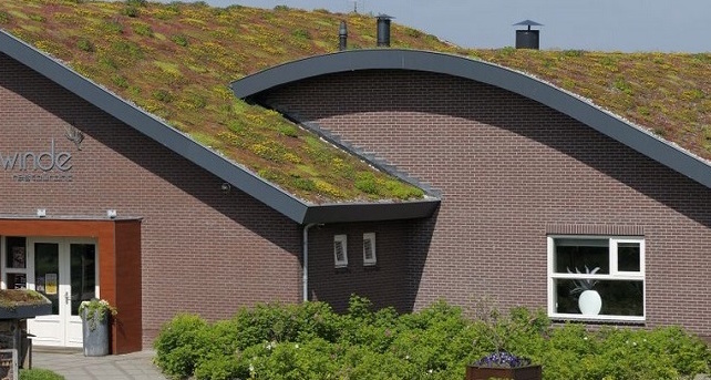 Groen dak met dakbegroeiing