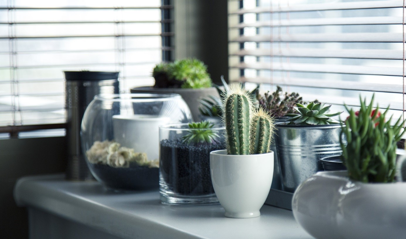 Raamdecoratie tuindeuren met accessoires en groene planten #trends #tuindeuren #interieur #raamdecoratie