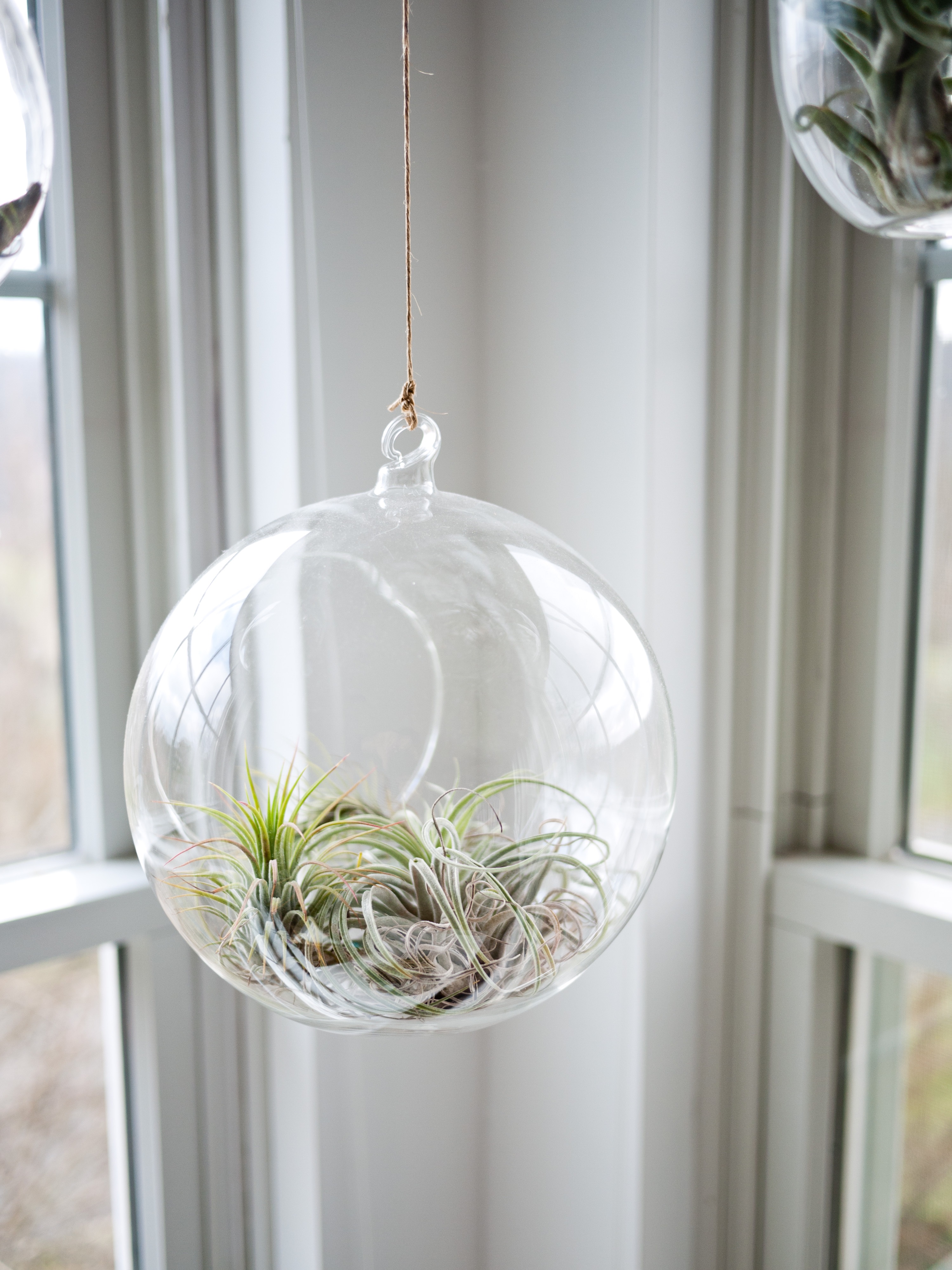 UW-woonmagazine blog Tips om een kleine kamer te stylen planten door Styling ID