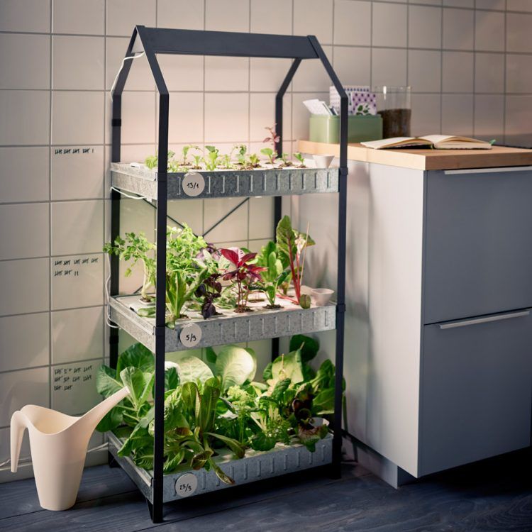 Keukentrend 2017: Tuinieren in de keuken. Groenten en kruiden zelf kweken met de  indoor moestuin van Ikea uit de Växer serie en de KRYDDA serie.  