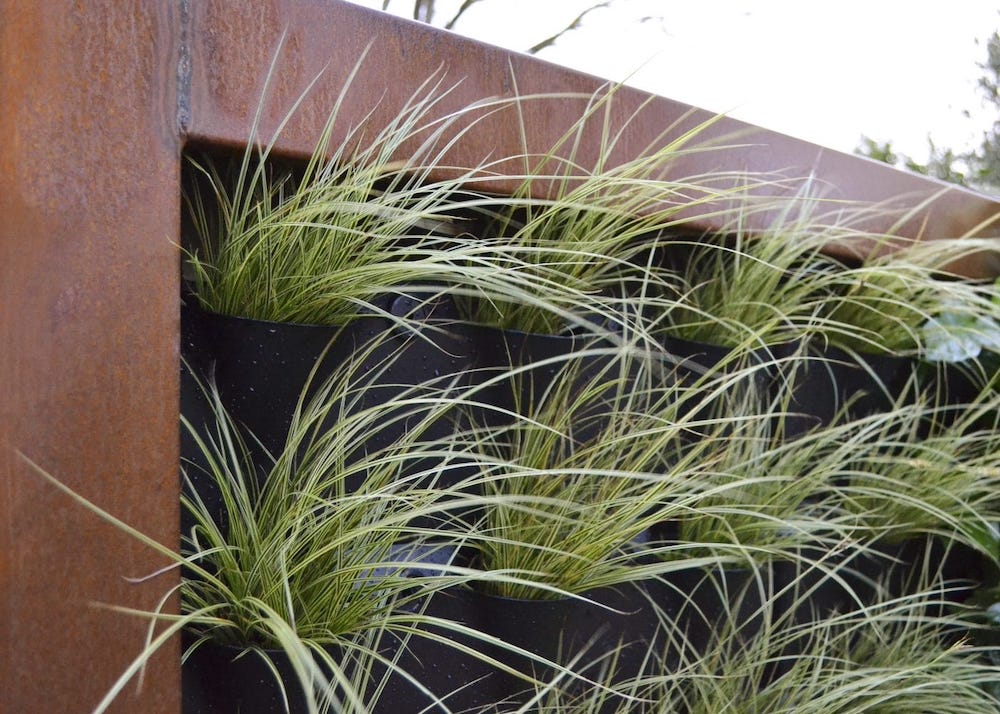 Zeno Green Wall - verticaal tuinieren - groene schutting #plantenbakken #greendivider