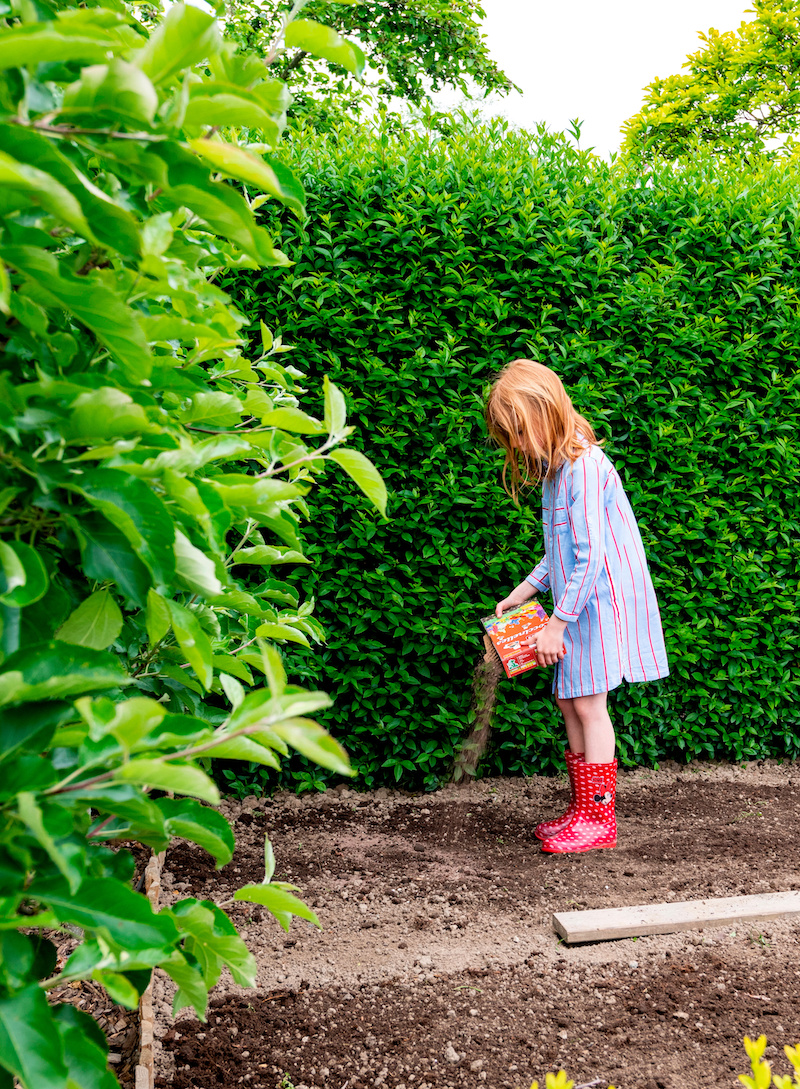 Bloemenmengsels zaaien voor bloemen, bijen, vlinders en andere bestuivers. En een gezonde bodem #tuin #bloemen #vlindertuin #zaaien #tuininspiratie