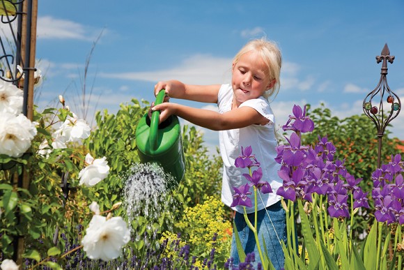 Aanleg van een watervriendelijke tuin met producten van Aco Easygarden