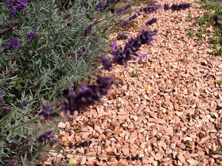 Tuininspiratie: mediterrane sfeer in de tuin met gekleurd grind via Amagard.com #tuin #tuininspiratie #grind #mediterraans #amagard