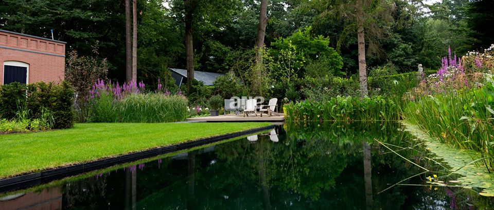 Tuin met ecologische zwemvijver en composiet terras van Esthec Terrace - ontwerp Arie tuinarchitectuur
