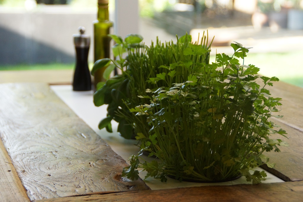 Verse kruiden op tafel met Sprout of the Box