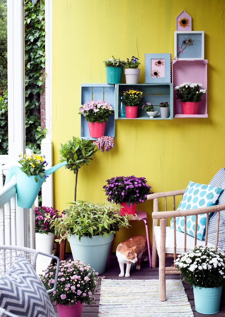 Foto Deze herfst willen we kleur in de tuin! FotoDeze herfst willen we kleur in de tuin!