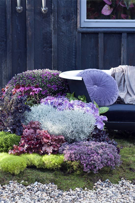 Tuintrend herfst 2018. Romance 3.0 grote bloemen en planten in de meest intense kleuren en vormen. #mooiwatplantendoen.nl