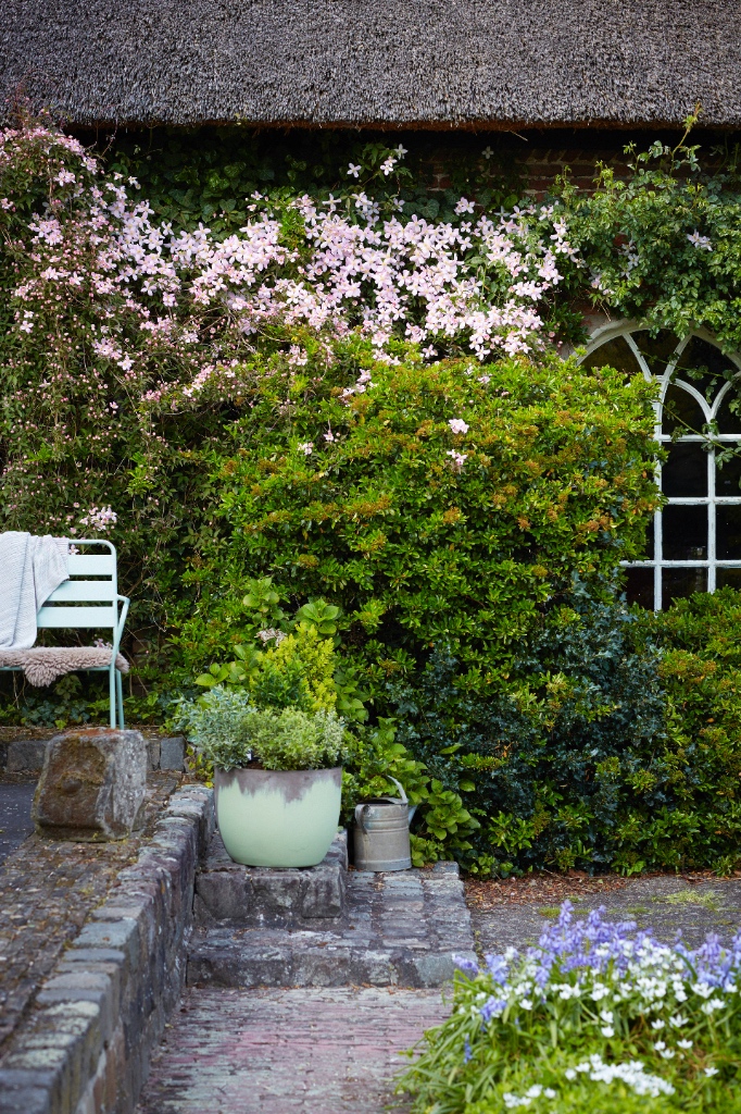 Vertical Gardening terras. Clematis. Mooiwatplantendoen.nl