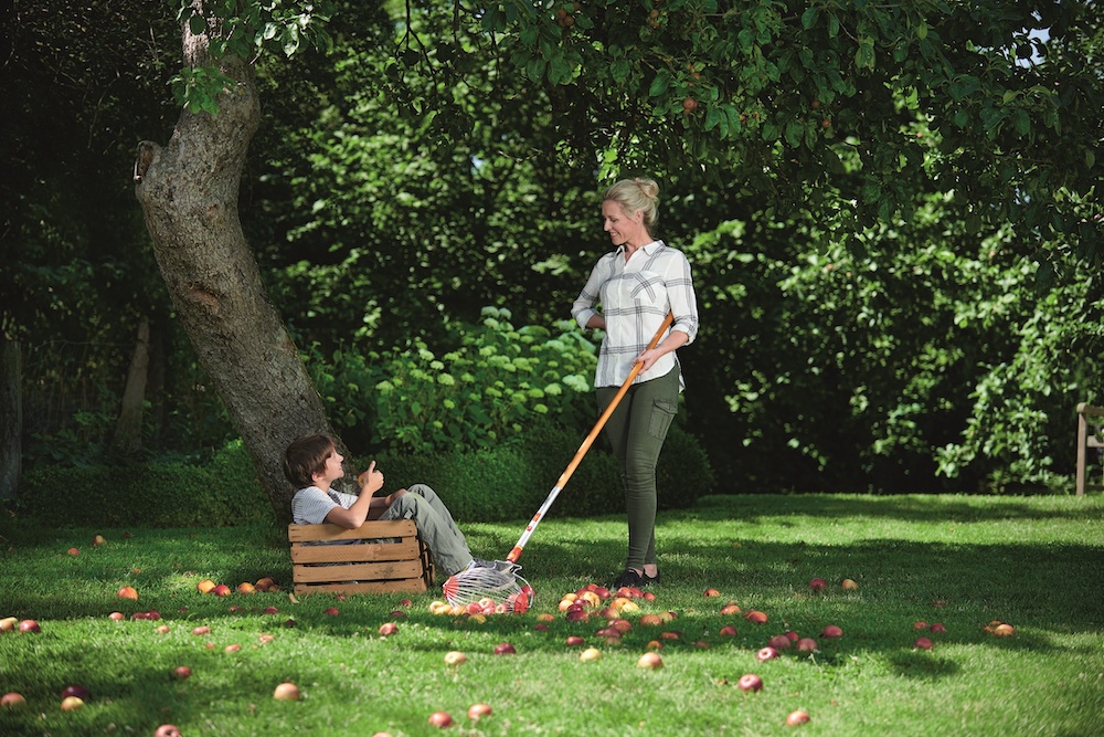 Tuintrends 2020. Slim en ergonomisch tuinieren. Oogsten en oprapen van fruit met de multi-star fruit en notencollector van Wolf Garten #tuinidee #tuinieren #tuintrends #tuingereedschap #tuin #wolfgarten 