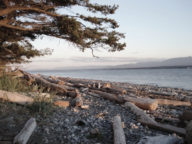 Earth and Fire Driftwood