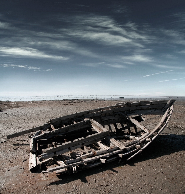 Earth and Fire Driftwood