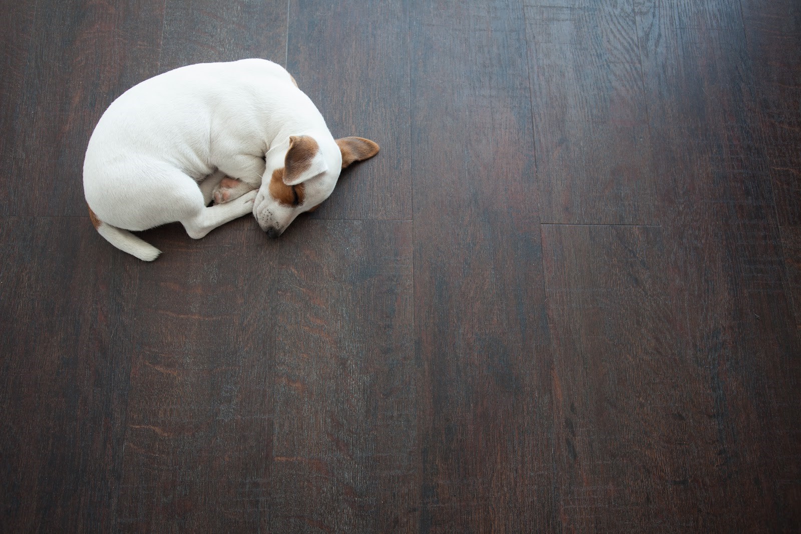 Vloerverwarming: comfortabel met hoog rendement #vloerverwarming #wonen #vloer #verwarming