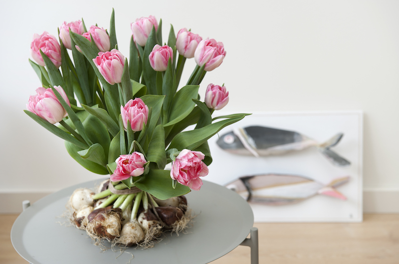 Tips, ideeën en weetjes over tulpen in huis #tulpen