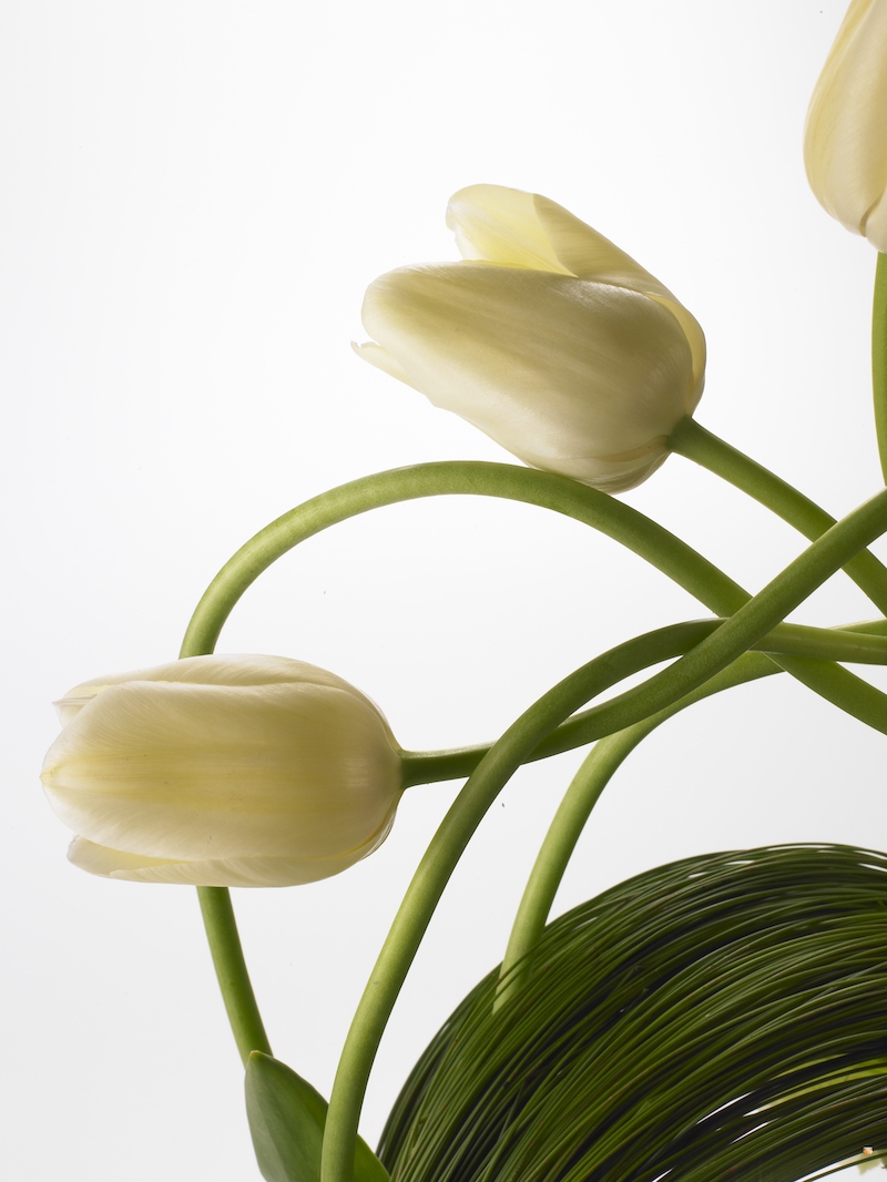 Tips, ideeën en weetjes over tulpen in huis #tulpen