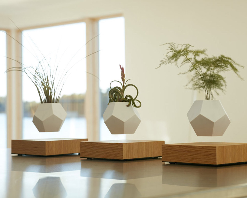 FLYTE eiken plankje die planten laat zweven via Wooden Amsterdam #interieur #design