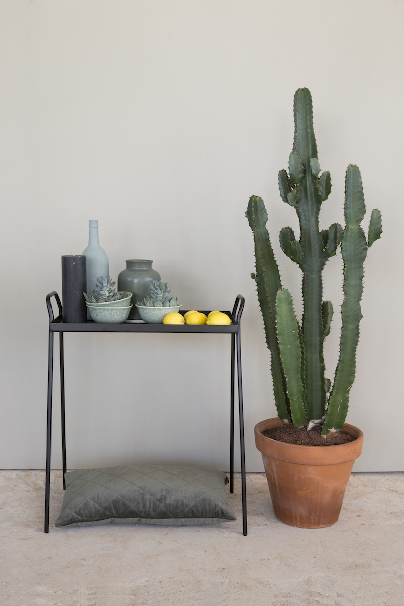 Interieur met cactus en olijfgroene krijtverf van Amazona