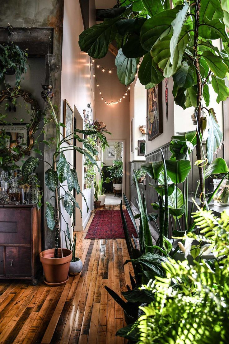 ultimate wonderplants copyright Hilton Carter #interieur #groen #planten