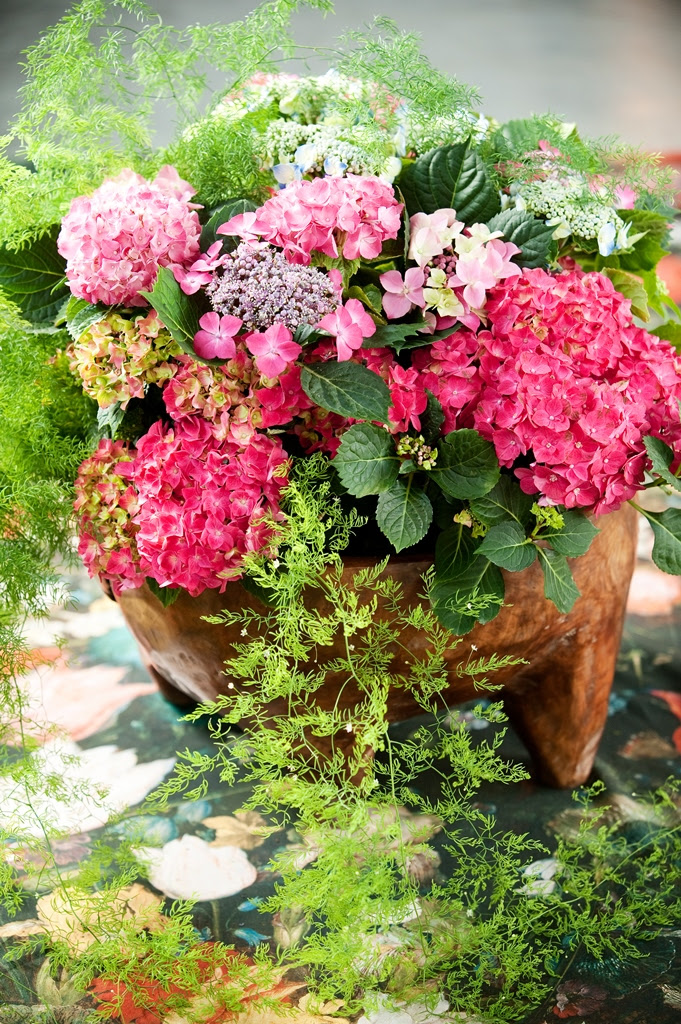 Boeket van planten