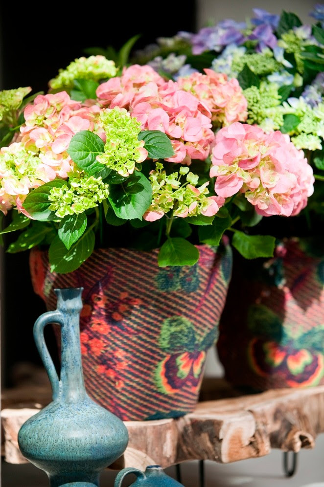 Creatief met de hortensia