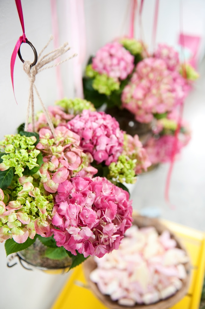 Hortensia de lucht in