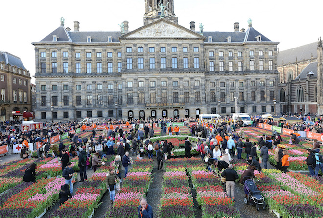 Nationale tulpenplukdag