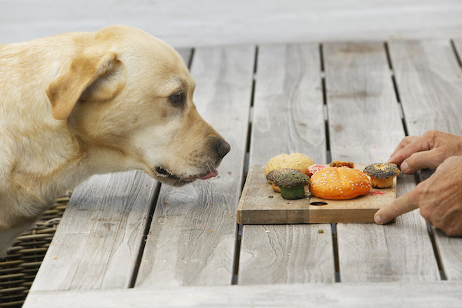 Gezonde petsnacks