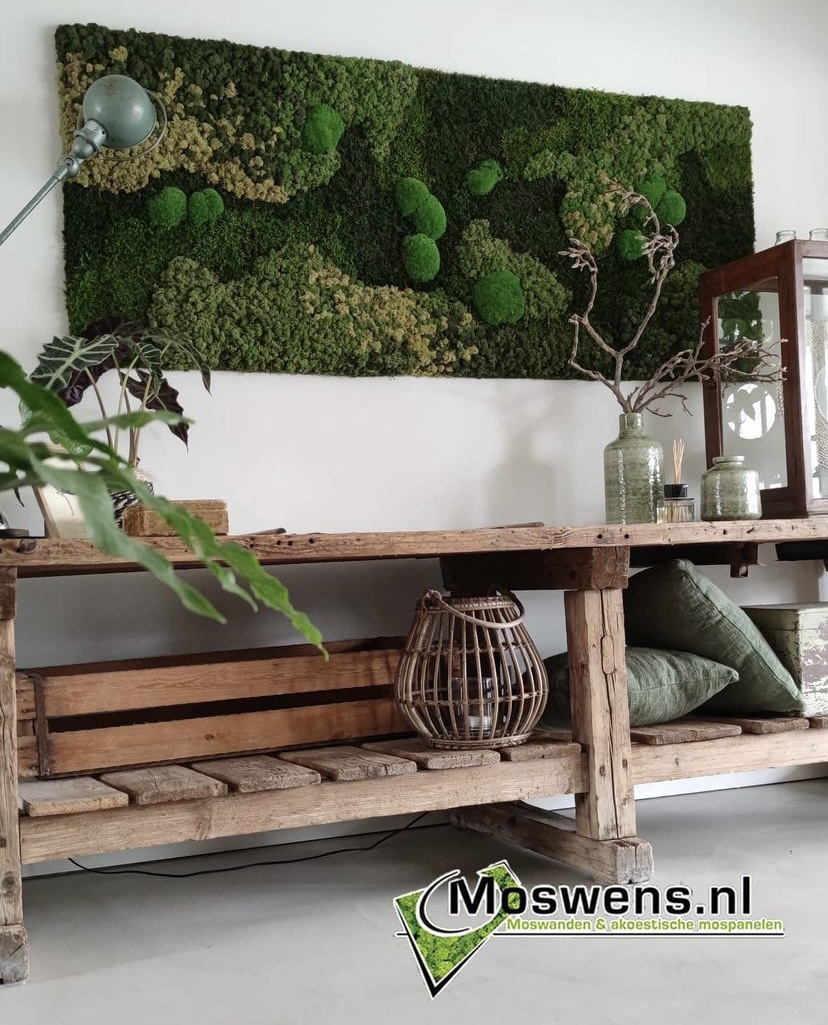 Mosschilderij mosselmix. Interieur. Groen #interieur #mosschilderij #moswens #wanddecoratie